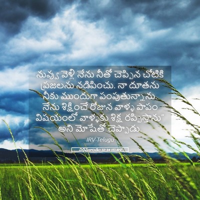 Picture 05 - నిర్గమకాండం 32:34 TELIRV - నువ్వు వెళ్లి - Bible Verse Picture