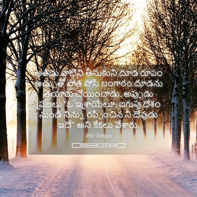 Picture 05 - నిర్గమకాండం 32:4 TELIRV - అతడు వాటిని - Bible Verse Picture