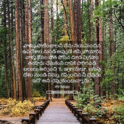 Picture 05 - నిర్గమకాండం 32:8 TELIRV - వాళ్ళు పాటించాలని - Bible Verse Picture