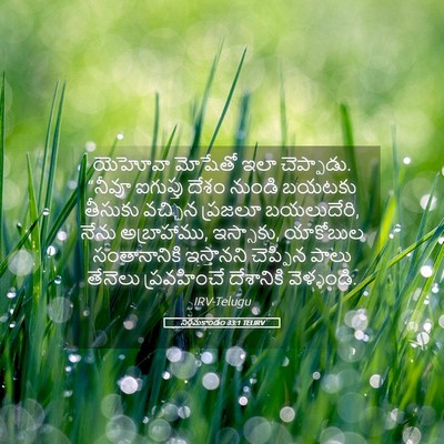 Picture 05 - నిర్గమకాండం 33:1 TELIRV - యెహోవా మోషేతో ఇలా - Bible Verse Picture
