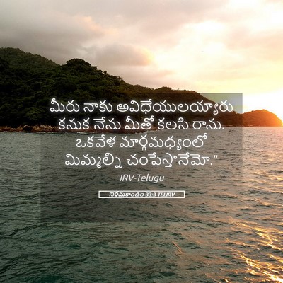 Picture 05 - నిర్గమకాండం 33:3 TELIRV - మీరు నాకు - Bible Verse Picture