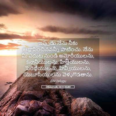 Picture 05 - నిర్గమకాండం 34:11 TELIRV - ఇప్పుడు నేను నీకు - Bible Verse Picture