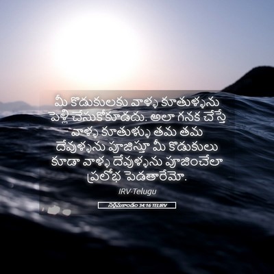 Picture 05 - నిర్గమకాండం 34:16 TELIRV - మీ కొడుకులకు - Bible Verse Picture
