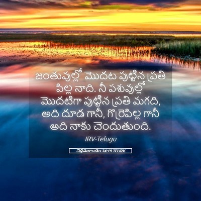 Picture 05 - నిర్గమకాండం 34:19 TELIRV - జంతువుల్లో మొదట - Bible Verse Picture