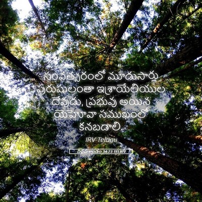 Picture 05 - నిర్గమకాండం 34:23 TELIRV - సంవత్సరంలో - Bible Verse Picture