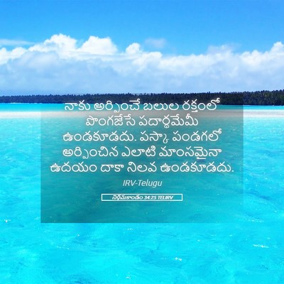 Picture 05 - నిర్గమకాండం 34:25 TELIRV - నాకు అర్పించే - Bible Verse Picture