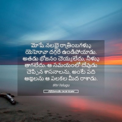 Picture 05 - నిర్గమకాండం 34:28 TELIRV - మోషే నలభై - Bible Verse Picture