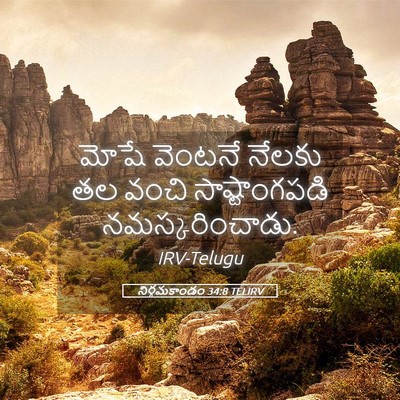 Picture 05 - నిర్గమకాండం 34:8 TELIRV - మోషే వెంటనే నేలకు - Bible Verse Picture