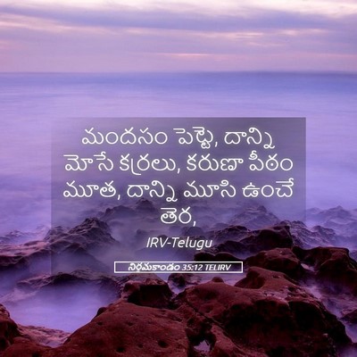 Picture 05 - నిర్గమకాండం 35:12 TELIRV - మందసం పెట్టె, - Bible Verse Picture
