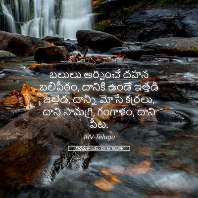 Picture 05 - నిర్గమకాండం 35:16 TELIRV - బలులు అర్పించే - Bible Verse Picture