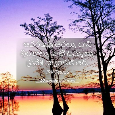 Picture 05 - నిర్గమకాండం 35:17 TELIRV - ఆవరణపు తెరలు, దాని - Bible Verse Picture