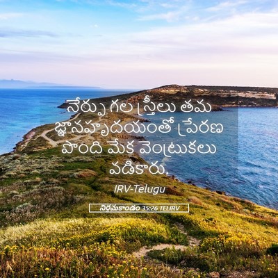 Picture 05 - నిర్గమకాండం 35:26 TELIRV - నేర్పు గల - Bible Verse Picture