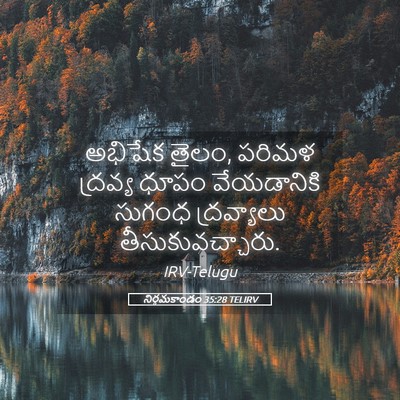 Picture 05 - నిర్గమకాండం 35:28 TELIRV - అభిషేక తైలం, పరిమళ - Bible Verse Picture