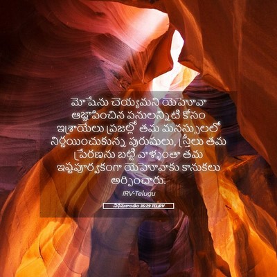 Picture 05 - నిర్గమకాండం 35:29 TELIRV - మోషేను చెయ్యమని - Bible Verse Picture
