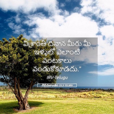 Picture 05 - నిర్గమకాండం 35:3 TELIRV - విశ్రాంతి దినాన - Bible Verse Picture