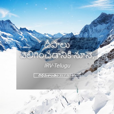 Picture 05 - నిర్గమకాండం 35:7 TELIRV - దీపాలు - Bible Verse Picture