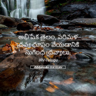 Picture 05 - నిర్గమకాండం 35:8 TELIRV - అభిషేక తైలం, పరిమళ - Bible Verse Picture