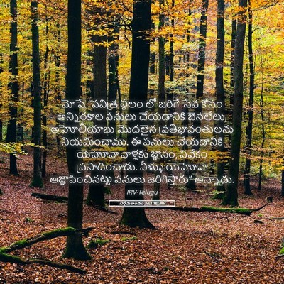 Picture 05 - నిర్గమకాండం 36:1 TELIRV - మోషే “పవిత్ర - Bible Verse Picture