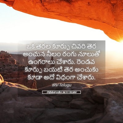 Picture 05 - నిర్గమకాండం 36:11 TELIRV - ఒక తెరల కూర్పు - Bible Verse Picture