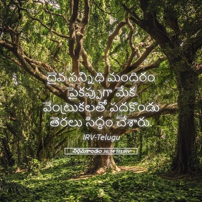 Picture 05 - నిర్గమకాండం 36:14 TELIRV - దైవ సన్నిధి - Bible Verse Picture