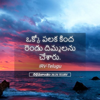 Picture 05 - నిర్గమకాండం 36:26 TELIRV - ఒక్కో పలక కింద - Bible Verse Picture