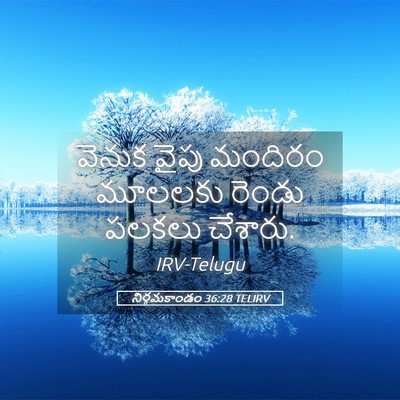 Picture 05 - నిర్గమకాండం 36:28 TELIRV - వెనుక వైపు మందిరం - Bible Verse Picture