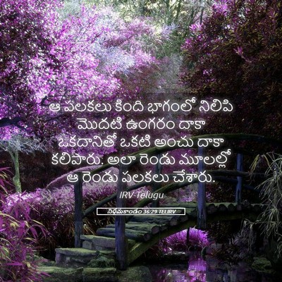 Picture 05 - నిర్గమకాండం 36:29 TELIRV - ఆ పలకలు కింది - Bible Verse Picture