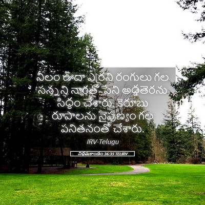 Picture 05 - నిర్గమకాండం 36:35 TELIRV - నీలం ఊదా ఎర్రని - Bible Verse Picture