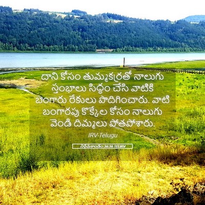 Picture 05 - నిర్గమకాండం 36:36 TELIRV - దాని కోసం - Bible Verse Picture