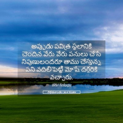 Picture 05 - నిర్గమకాండం 36:4 TELIRV - అప్పుడు పవిత్ర - Bible Verse Picture