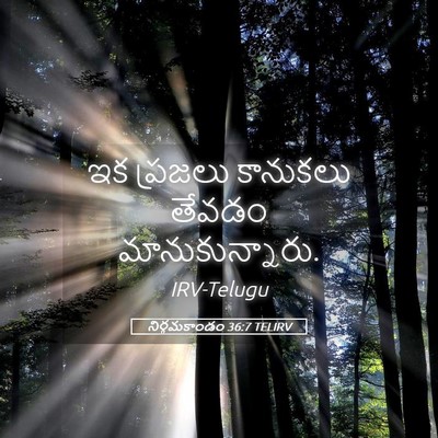 Picture 05 - నిర్గమకాండం 36:7 TELIRV - ఇక ప్రజలు కానుకలు - Bible Verse Picture