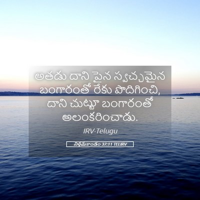 Picture 05 - నిర్గమకాండం 37:11 TELIRV - అతడు దాని పైన - Bible Verse Picture
