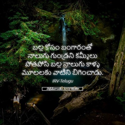 Picture 05 - నిర్గమకాండం 37:13 TELIRV - బల్ల కోసం - Bible Verse Picture