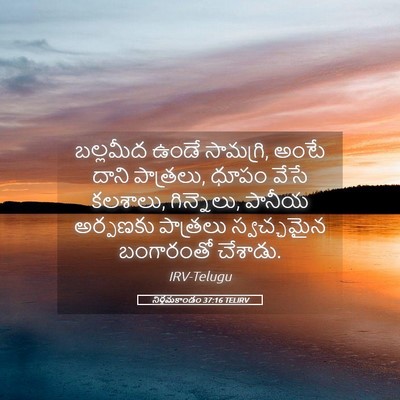 Picture 05 - నిర్గమకాండం 37:16 TELIRV - బల్లమీద ఉండే - Bible Verse Picture