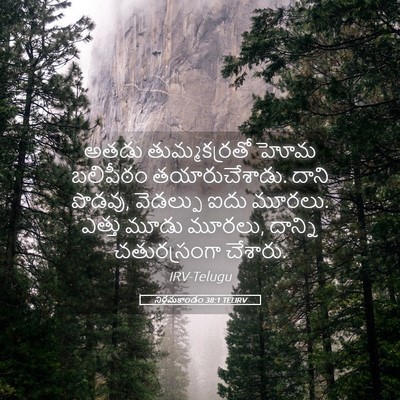 Picture 05 - నిర్గమకాండం 38:1 TELIRV - అతడు తుమ్మకర్రతో - Bible Verse Picture