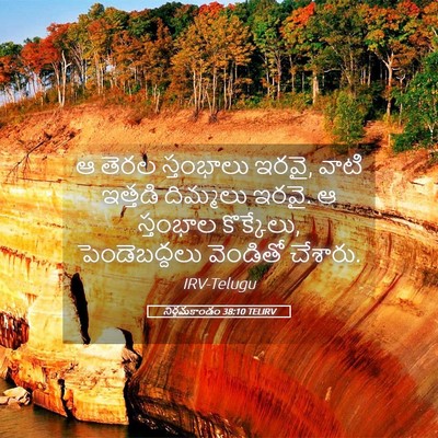 Picture 05 - నిర్గమకాండం 38:10 TELIRV - ఆ తెరల స్తంభాలు - Bible Verse Picture