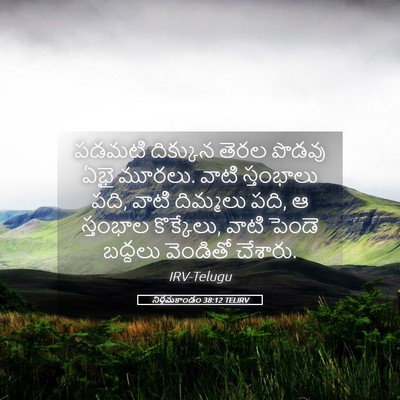 Picture 05 - నిర్గమకాండం 38:12 TELIRV - పడమటి దిక్కున - Bible Verse Picture