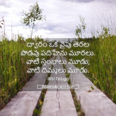 Picture 05 - నిర్గమకాండం 38:14 TELIRV - ద్వారం ఒక వైపు - Bible Verse Picture