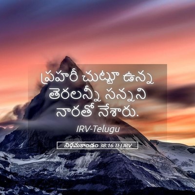 Picture 05 - నిర్గమకాండం 38:16 TELIRV - ప్రహరీ చుట్టూ - Bible Verse Picture