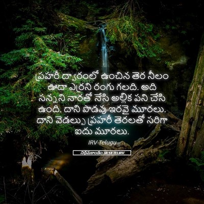 Picture 05 - నిర్గమకాండం 38:18 TELIRV - ప్రహరీ ద్వారంలో - Bible Verse Picture