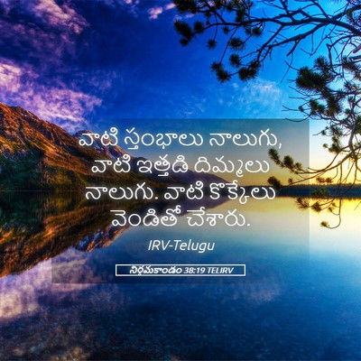 Picture 05 - నిర్గమకాండం 38:19 TELIRV - వాటి స్తంభాలు - Bible Verse Picture