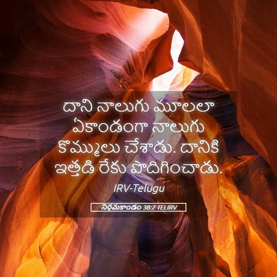 Picture 05 - నిర్గమకాండం 38:2 TELIRV - దాని నాలుగు మూలలా - Bible Verse Picture