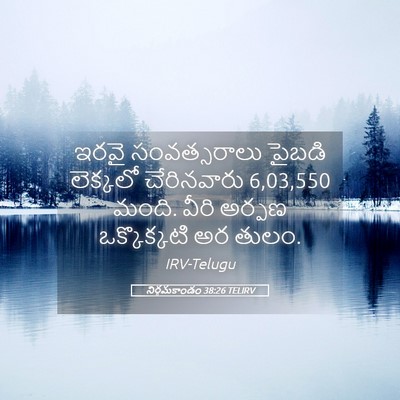 Picture 05 - నిర్గమకాండం 38:26 TELIRV - ఇరవై సంవత్సరాలు - Bible Verse Picture