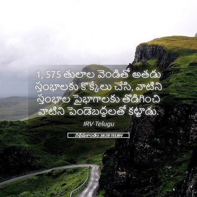 Picture 05 - నిర్గమకాండం 38:28 TELIRV - 1, 575 తులాల వెండితో - Bible Verse Picture