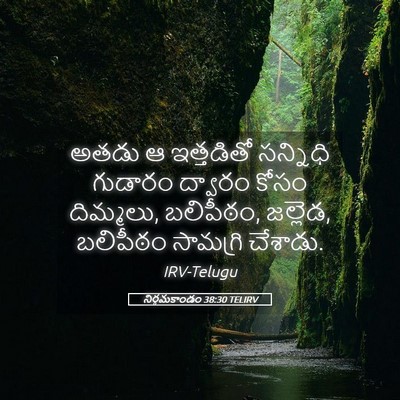 Picture 05 - నిర్గమకాండం 38:30 TELIRV - అతడు ఆ ఇత్తడితో - Bible Verse Picture