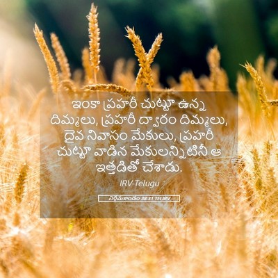 Picture 05 - నిర్గమకాండం 38:31 TELIRV - ఇంకా ప్రహరీ - Bible Verse Picture
