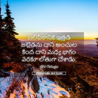 Picture 05 - నిర్గమకాండం 38:4 TELIRV - బలిపీఠానికి - Bible Verse Picture