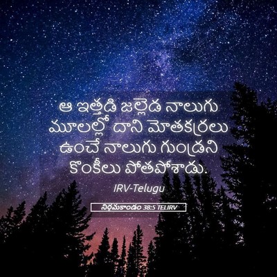 Picture 05 - నిర్గమకాండం 38:5 TELIRV - ఆ ఇత్తడి జల్లెడ - Bible Verse Picture