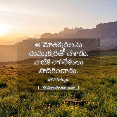 Picture 05 - నిర్గమకాండం 38:6 TELIRV - ఆ మోతకర్రలను - Bible Verse Picture