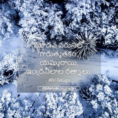 Picture 05 - నిర్గమకాండం 39:12 TELIRV - మూడవ వరుసలో - Bible Verse Picture